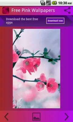 Free Pink Wallpapers for Girls android App screenshot 2